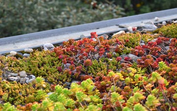 the cost of Kilmore green roof installation