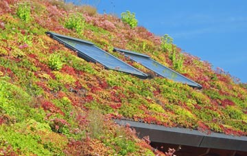 Kilmore living roof systems