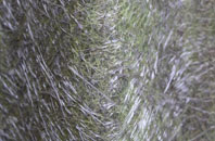 Kilmore fibreglass roof work